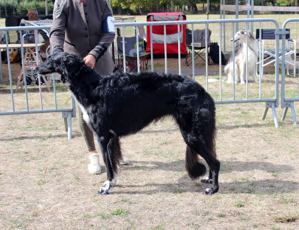 Rita tzarina Des Svoras De La Centauresse