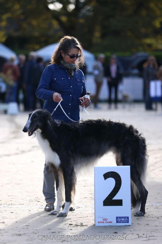 Vadim velikyi voin Des Svoras De La Centauresse